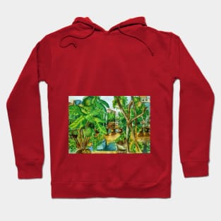 Roof Plantation and top. Hoodie